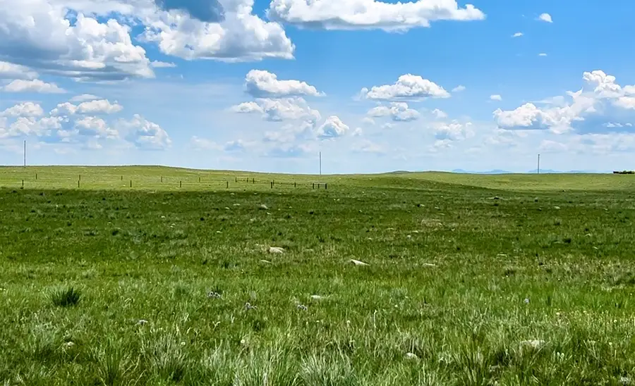 Lot 216 S Tamarack Drive, Augusta, MT 59410 - #2