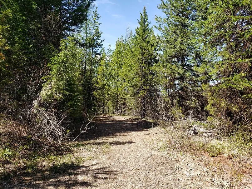 Tract 10 Ida Lode Nine Mile Road, Huson, MT 59846 - #1