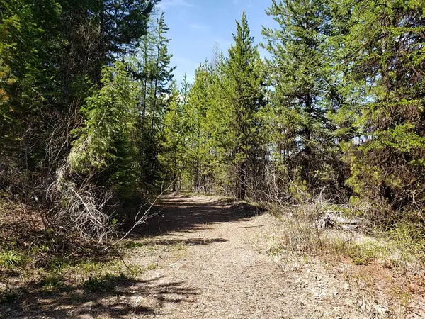 Tract 10 Ida Lode Nine Mile Road, Huson, MT 59846