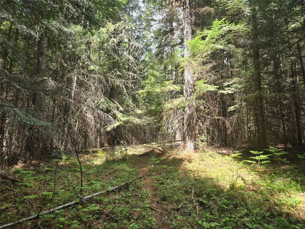 Lot A-2 Elk Heights Lane, Heron, MT 59844 - #1