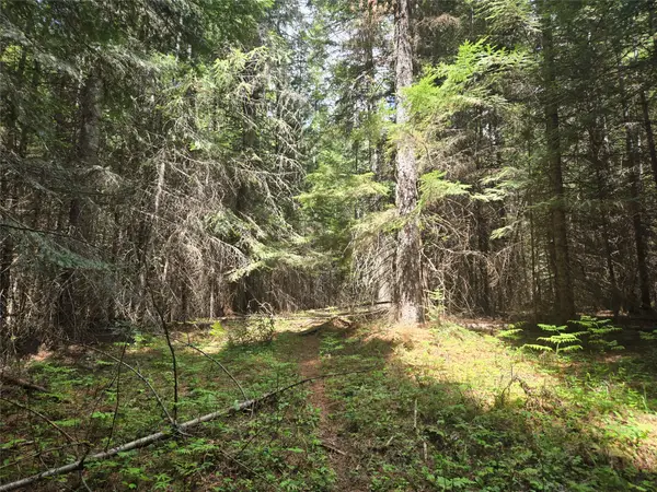 Lot A-2 Elk Heights Lane, Heron, MT 59844