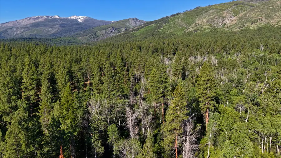 562 Churn Creek Trail, Hamilton, MT 59840 - #3