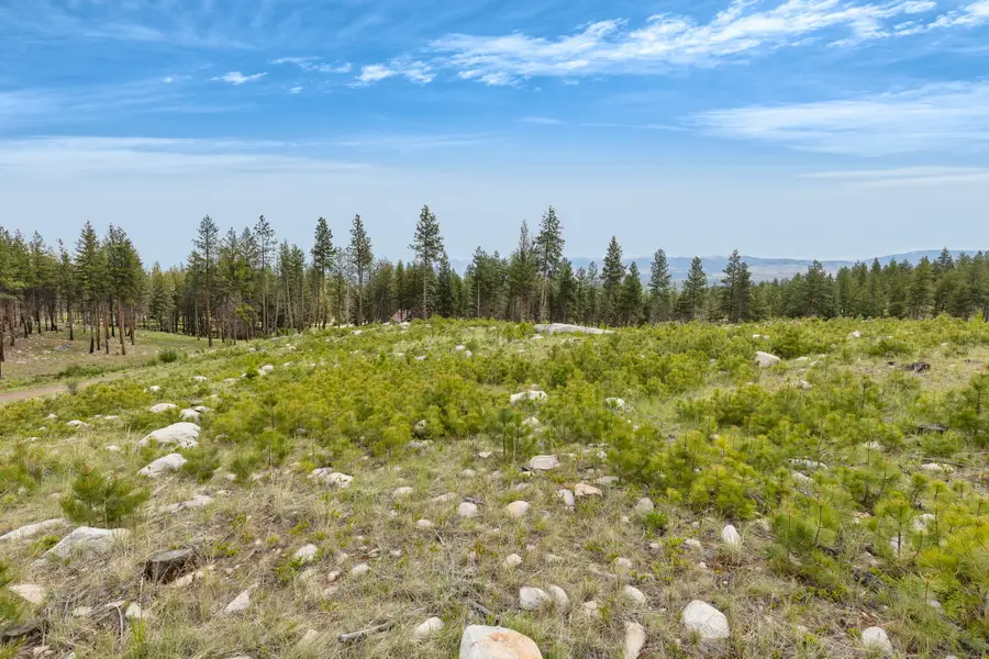 NHN Lot 11 Roaring Lion Road, Hamilton, MT 59840 - #2