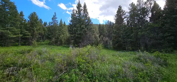 Tract 11 Hall Creek, Helmville, MT 59843
