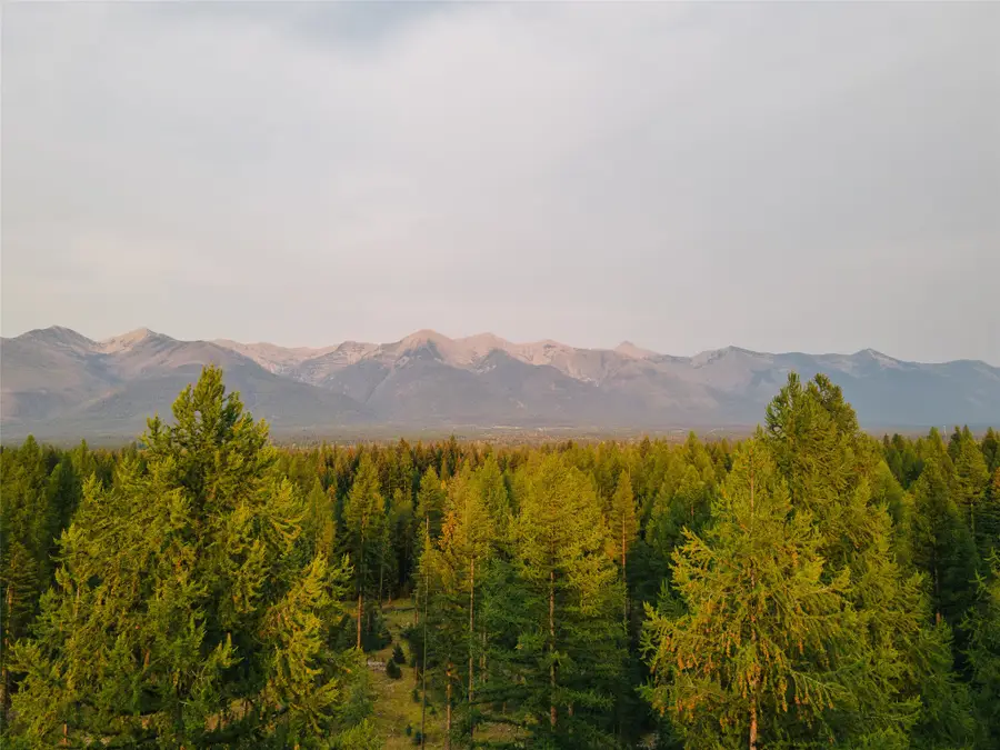 NHN Styler Drive, Condon, MT 59826 - #2