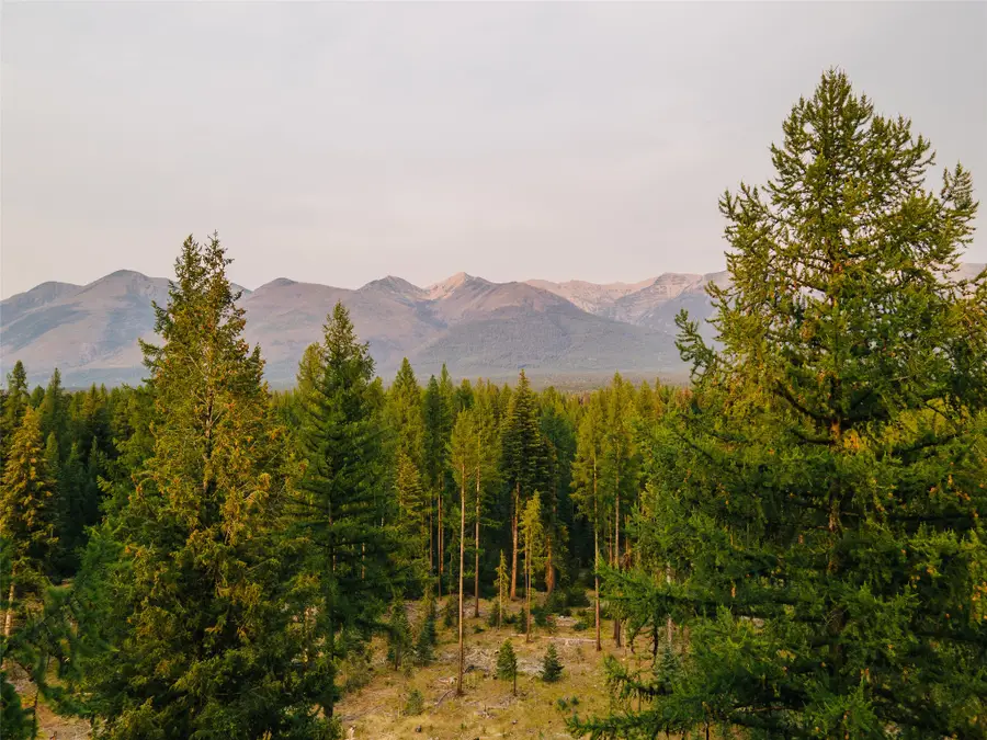 NHN Styler Drive, Condon, MT 59826 - #3