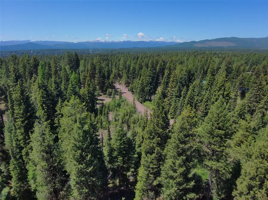 NHN Bobcat Lane, Seeley Lake, MT 59868 - #3