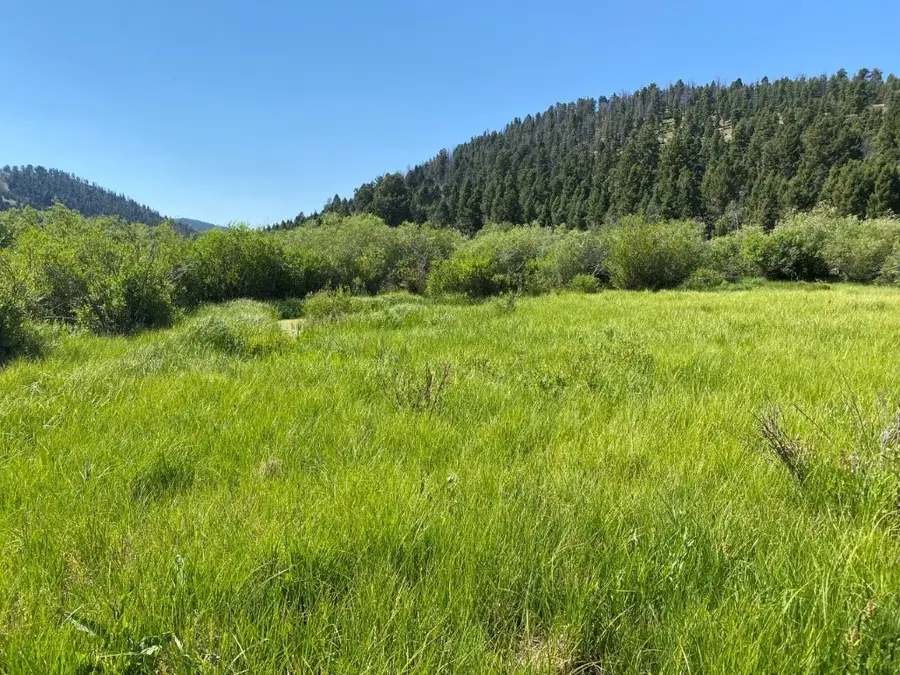 TBD Camp Creek Road, Melrose, MT 59743 - #2