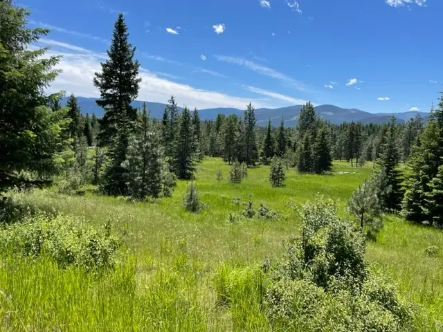 no address Green Mountain Road, Trout Creek, MT 59874 - #1