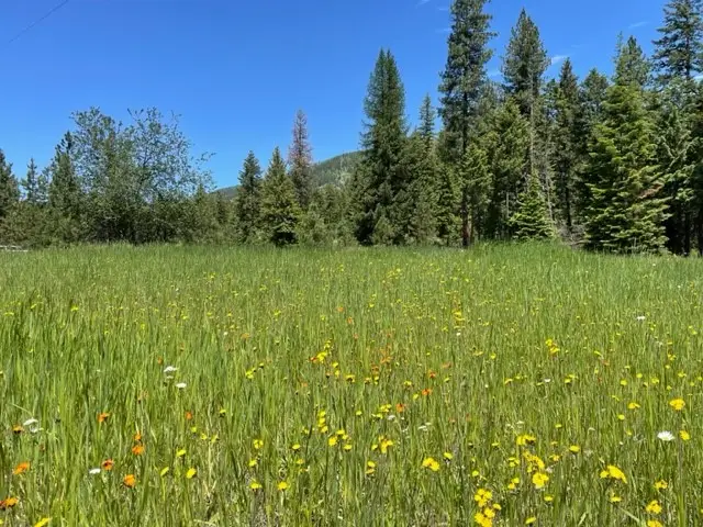 no address Green Mountain Road, Trout Creek, MT 59874 - #2