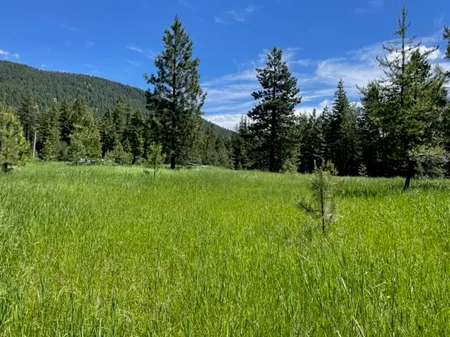 no address Green Mountain Road, Trout Creek, MT 59874 - #3
