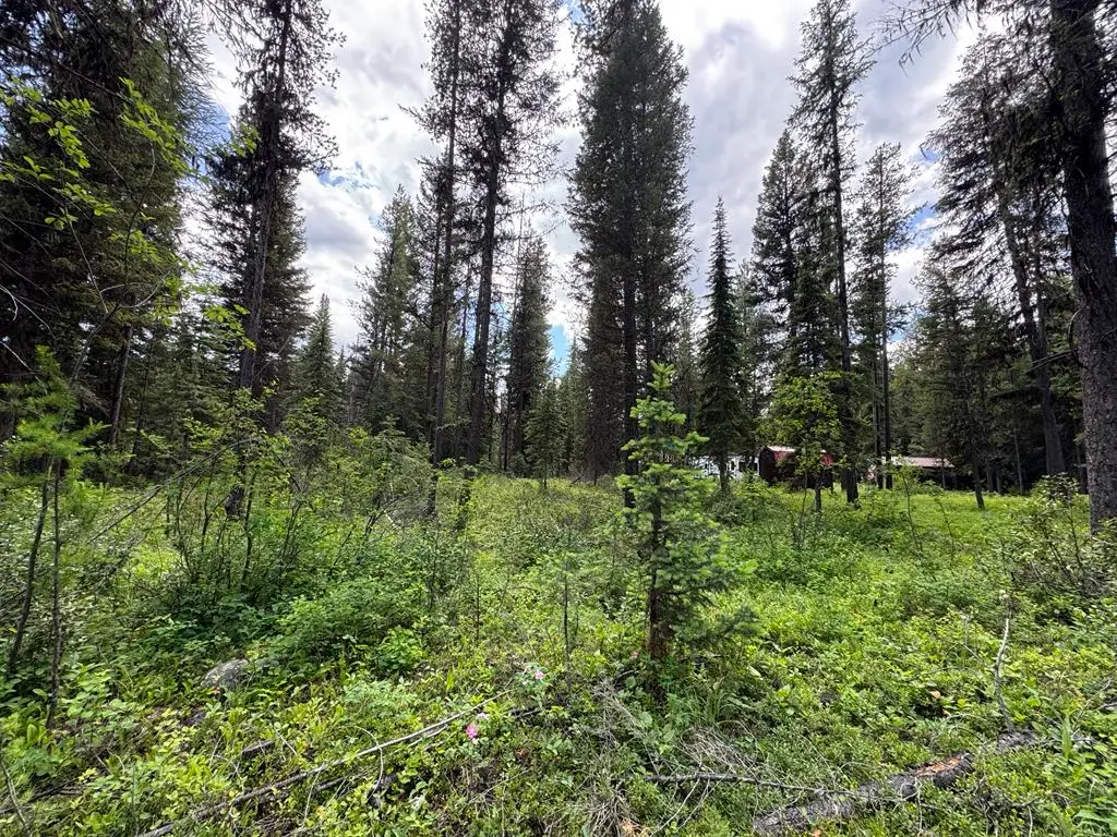 768 Deep Woods Trail, Polebridge, MT 59928 - #1