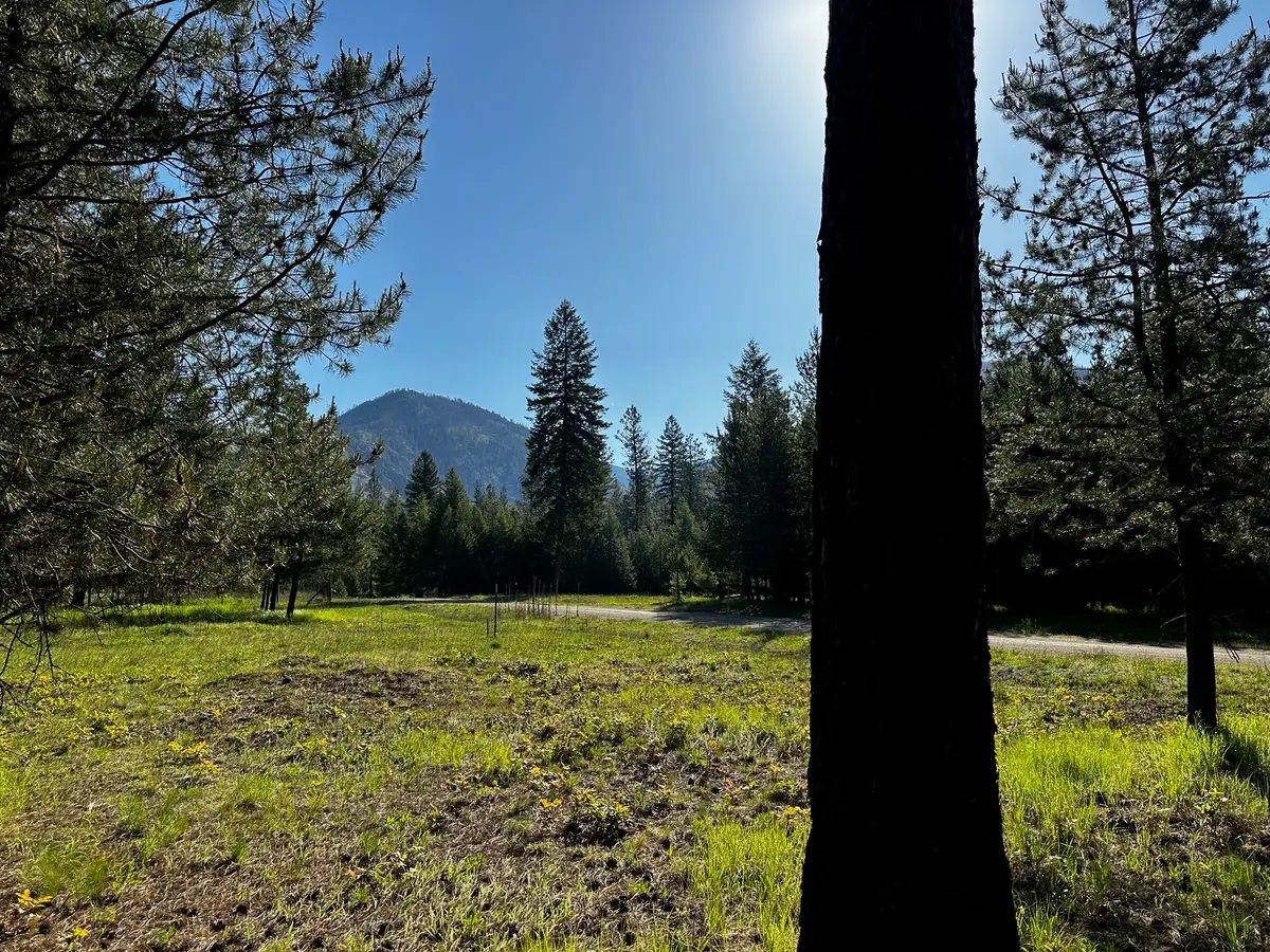 NHN Graves Creek Loop, Thompson Falls, MT 59873 - #1