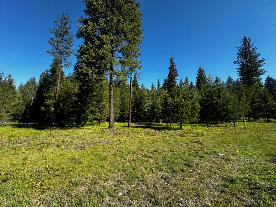 NHN Graves Creek Loop, Thompson Falls, MT 59873 - #2