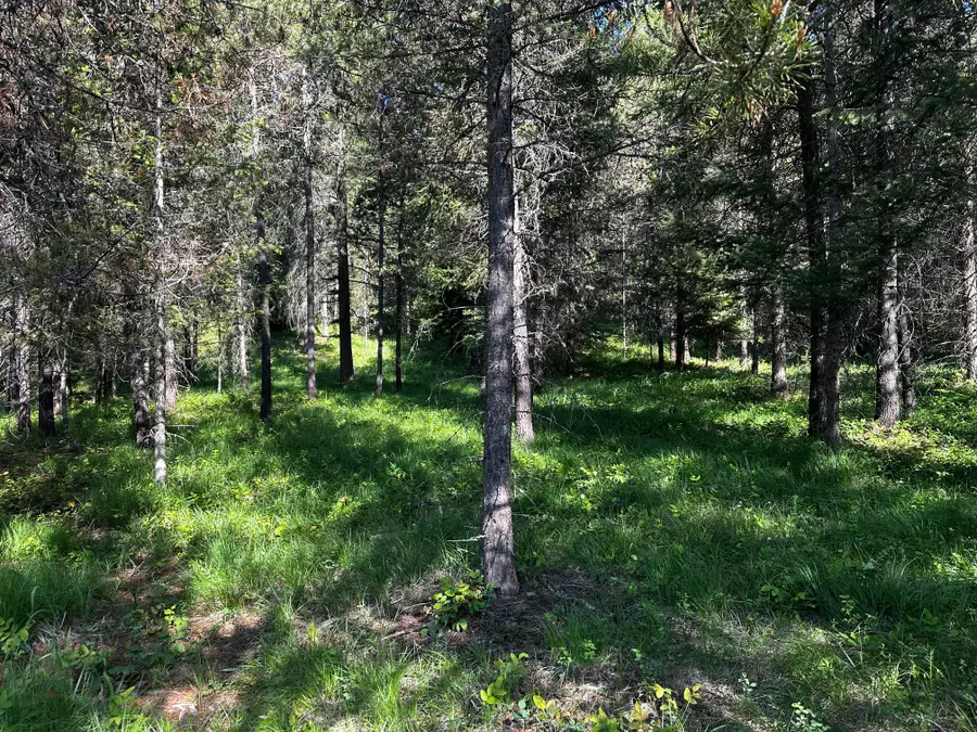NHN Graves Creek Loop, Thompson Falls, MT 59873 - #3