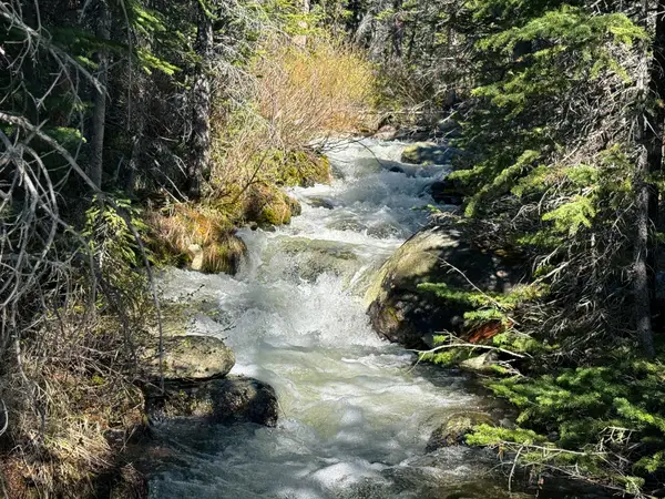 970 Lower Clear Creek Trail, Anaconda, MT 59711