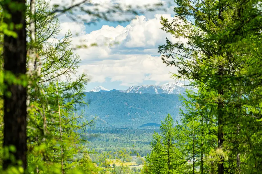 1340 Lion Mountain Drive, Whitefish, MT 59937 - #3