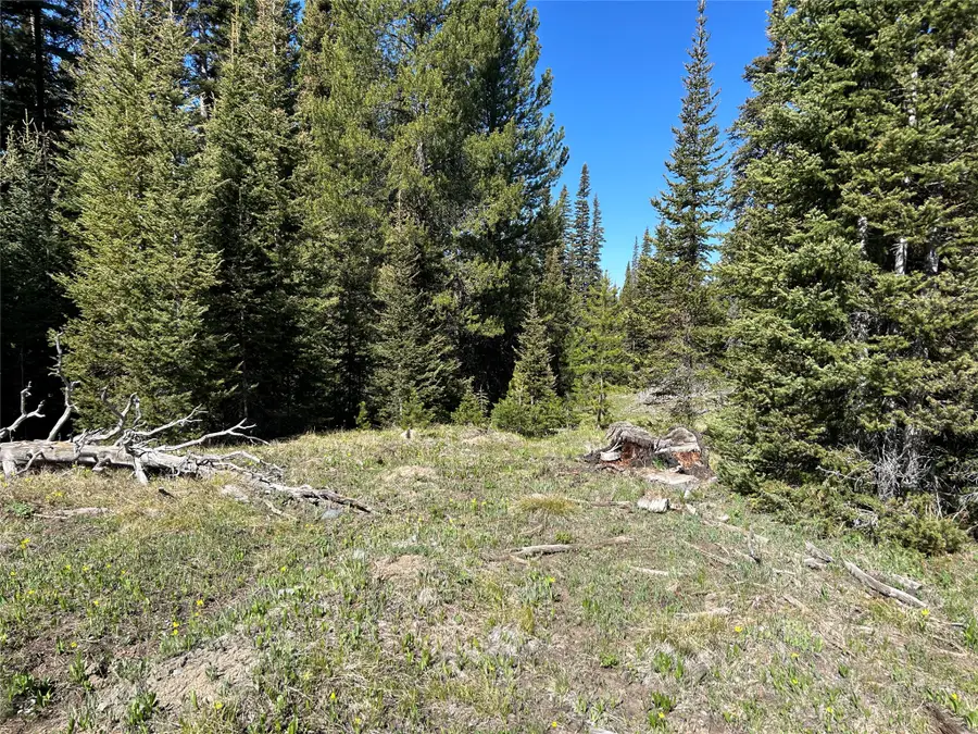 384 Crevice Mountain Road, Gardiner, MT 59030 - #3