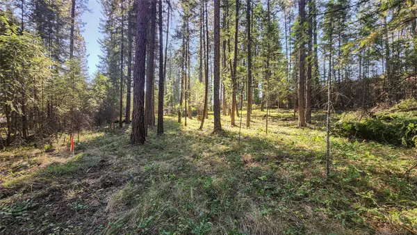1505 Kootenai River Road, Libby, MT 59923