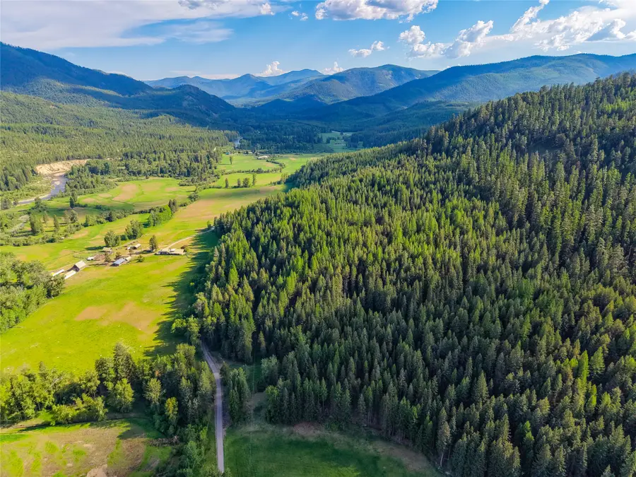 NHN Arabian Lane, Libby, MT 59923 - #2