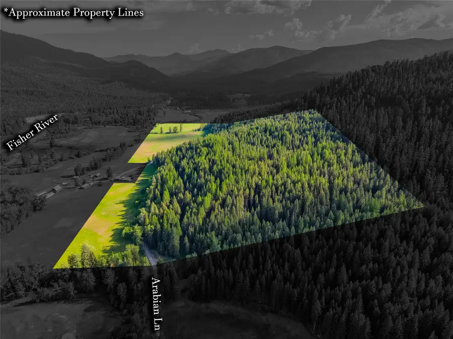 NHN Arabian Lane, Libby, MT 59923 - #3