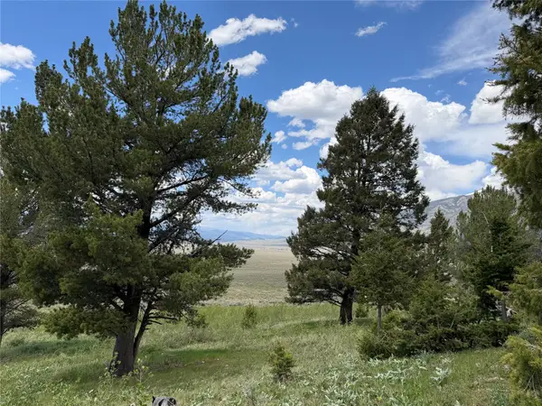 Lot 2 & 4A Continental Divide Road, Cameron, MT 59720