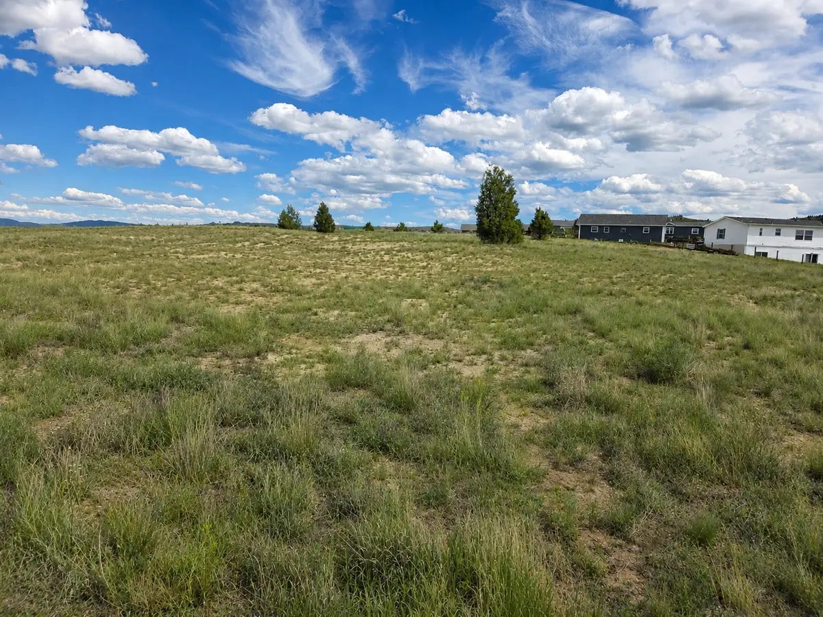 347 Lupine Lane, Butte, MT 59701 - #1