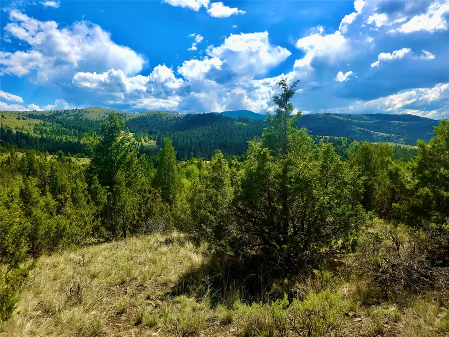 Block 172 Lots 1-12 Wallace Street, Virginia City, MT 59755 - #3