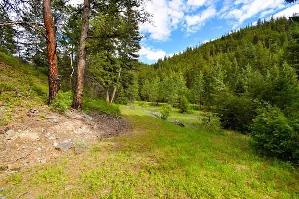 Tract 1 Henry Creek Road, Plains, MT 59859