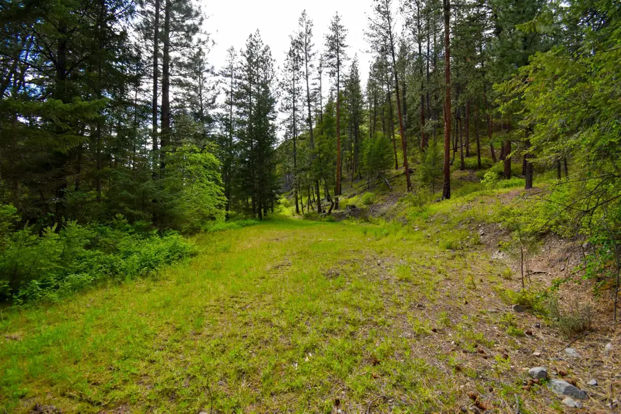 Tract 1 Henry Creek Road, Plains, MT 59859 - #2