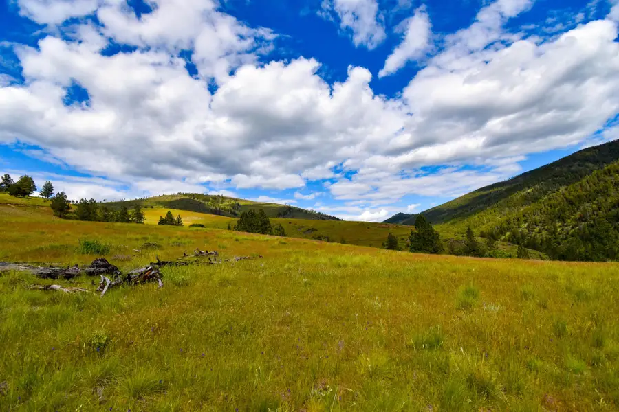 Tract 2 Henry Creek Road, Plains, MT 59859 - #2