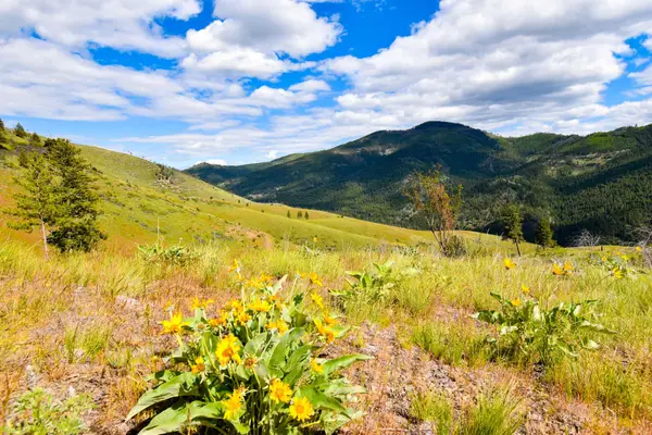 285 Henry Creek Road, Plains, MT 59859