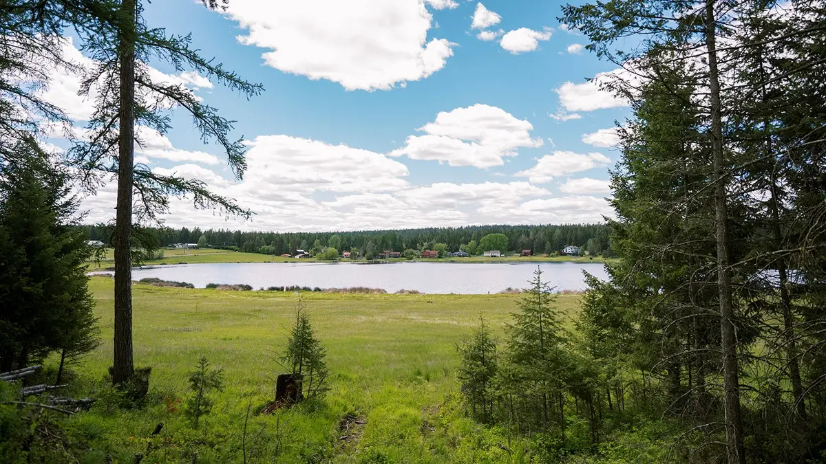 56 Wagon Wheel Road, Whitefish, MT 59937 - #1