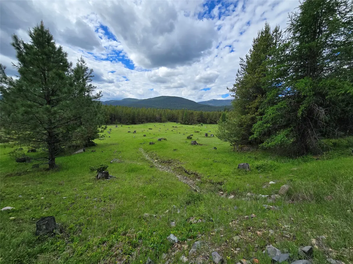 TBD Yaak River Road, Troy, MT 59935 - #1