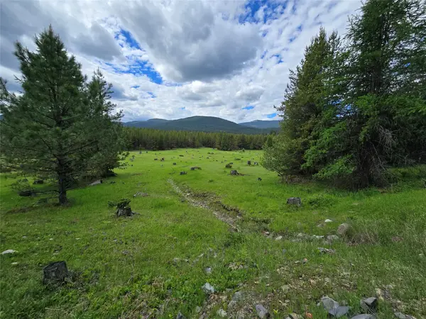 TBD Yaak River Road, Troy, MT 59935