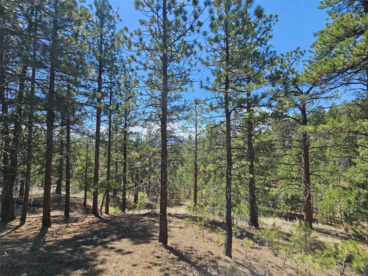 NHN Upper Sawmill Creek Road, Cascade, MT 59421 - #1