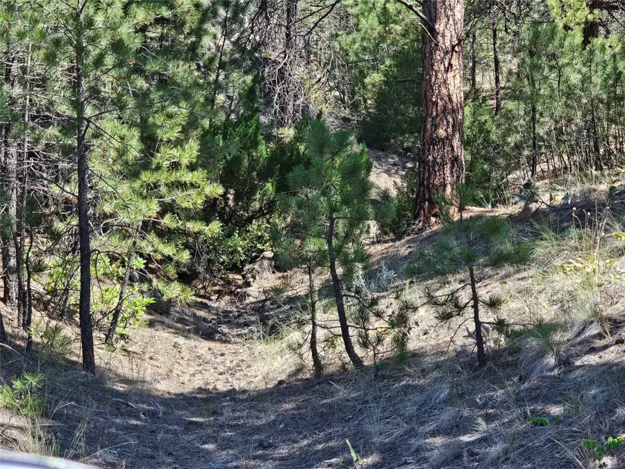 NHN Upper Sawmill Creek Road, Cascade, MT 59421 - #2