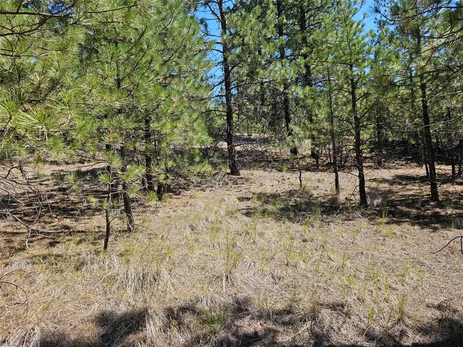 NHN Upper Sawmill Creek Road, Cascade, MT 59421 - #3
