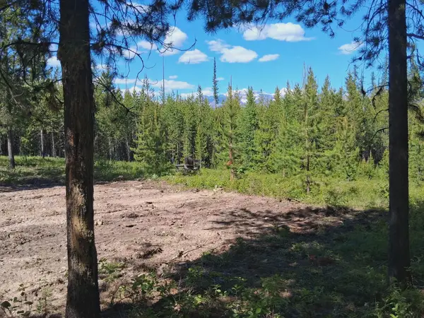 11532 North Fork Road, Polebridge, MT 59928