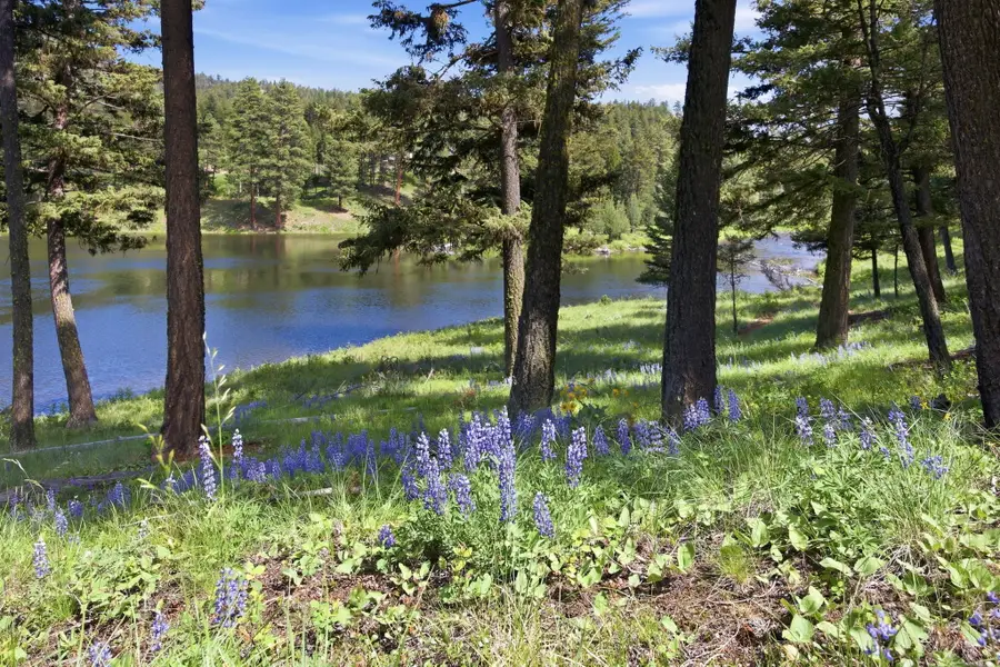 Lot 3 Big Waters Ranch Road, Seeley Lake, MT 59868 - #2