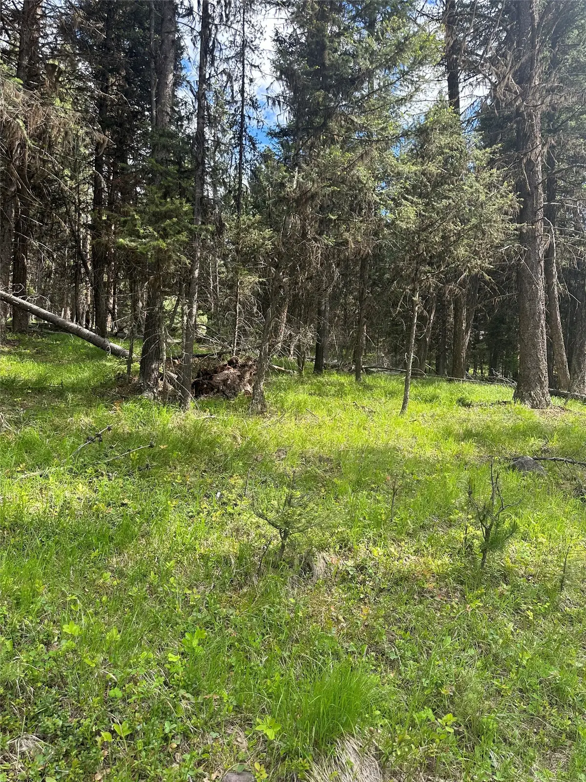 1274 Grandview Drive, Seeley Lake, MT 59868 - #1