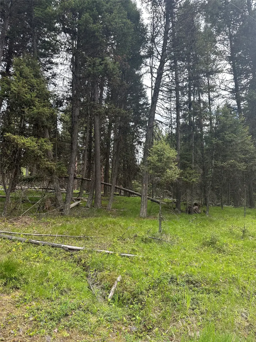 1274 Grandview Drive, Seeley Lake, MT 59868 - #3