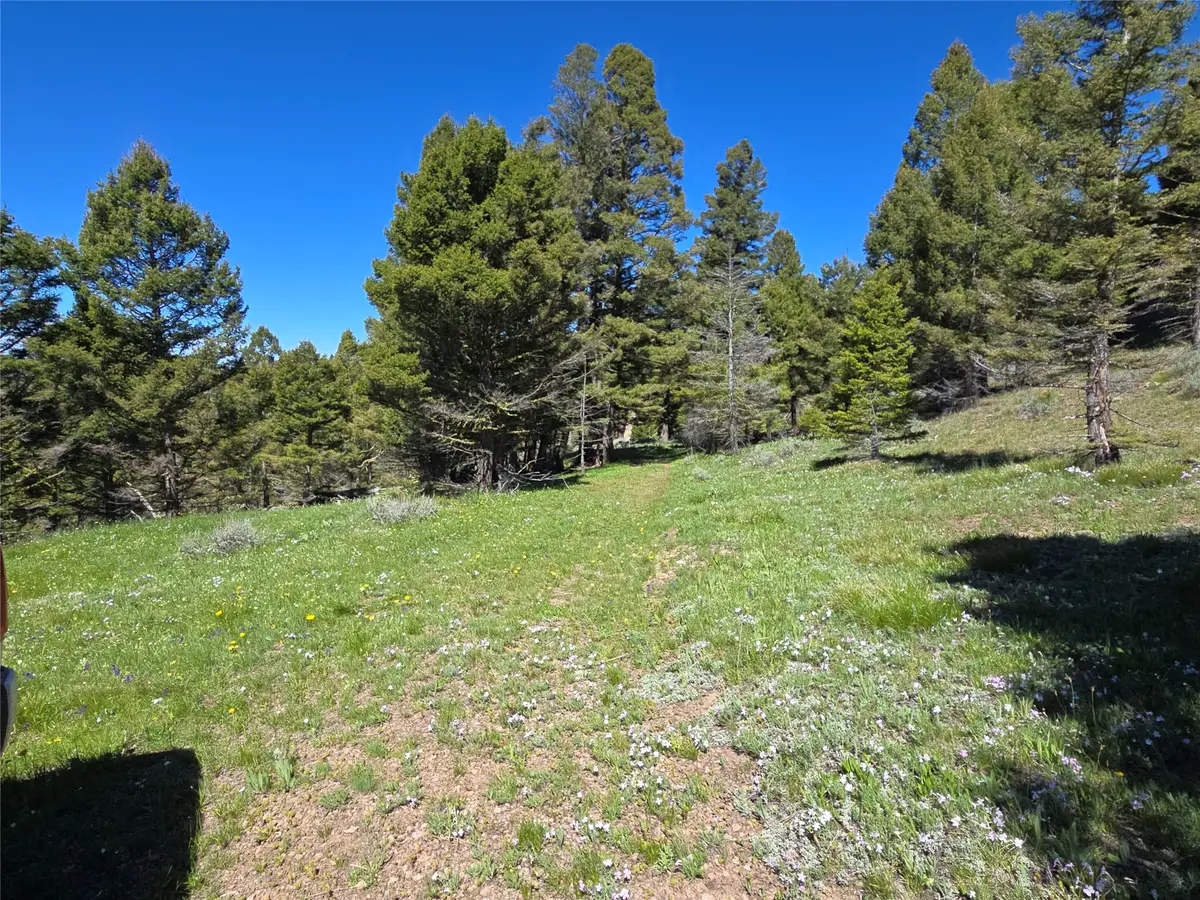 Lot 26 Westridge Road, Helmville, MT 59843 - #1