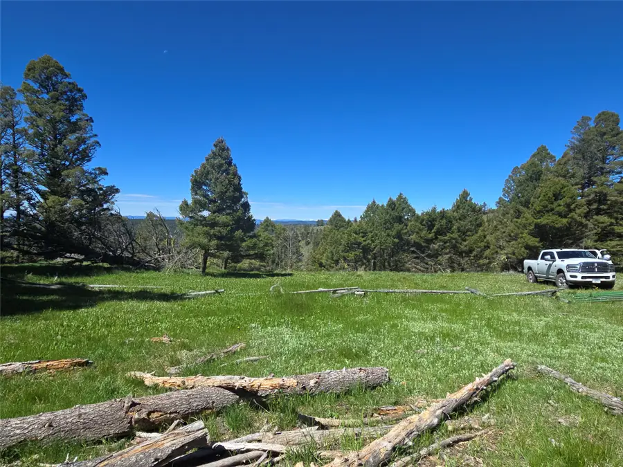 Lot 26 Westridge Road, Helmville, MT 59843 - #2