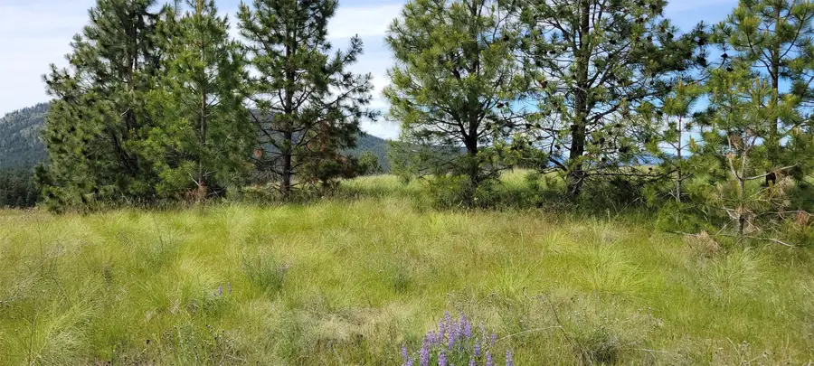 NHN Sunrise Heights, Polson, MT 59860 - #3