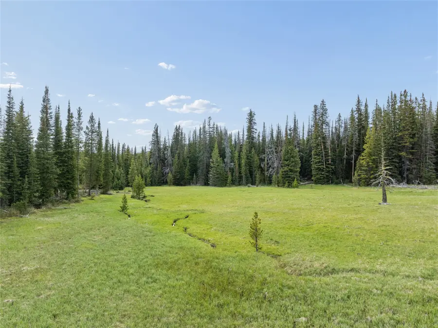 TBD Dorothy Snow Lode, Basin, MT 59006 - #2
