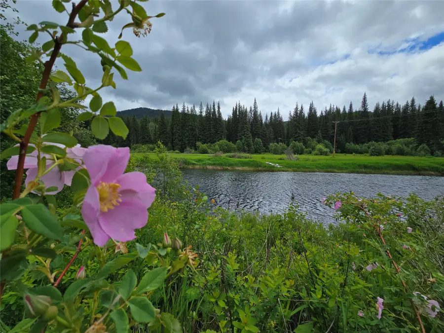 670 Gus Creek Road, Yaak, MT 59935 - #2
