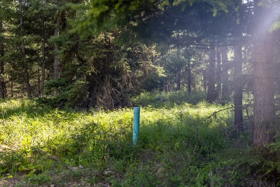 NHN Fortine Creek Road, Trego, MT 59934 - #3