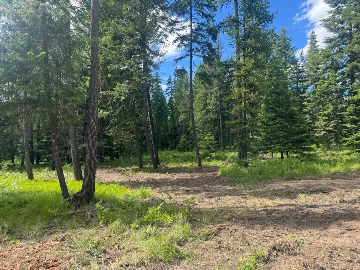 NHN Big Fir Drive, Thompson Falls, MT 59873 - #1