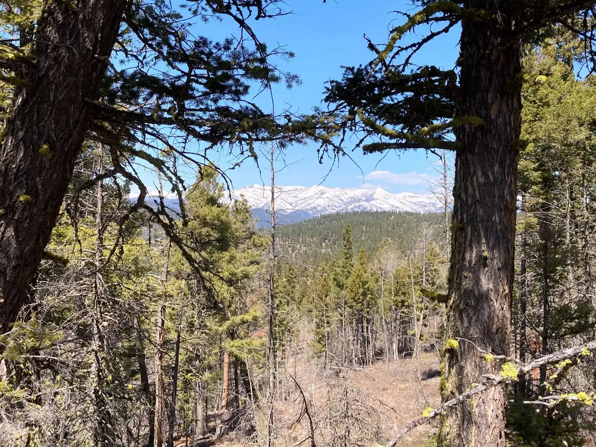 3595 Bear Gulch Road, Lincoln, MT 59639 - #1